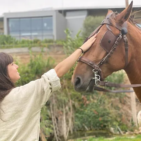 호텔 Garca Real & - Singular's