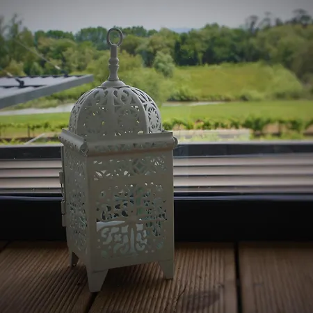 Garca Real & - Singular's