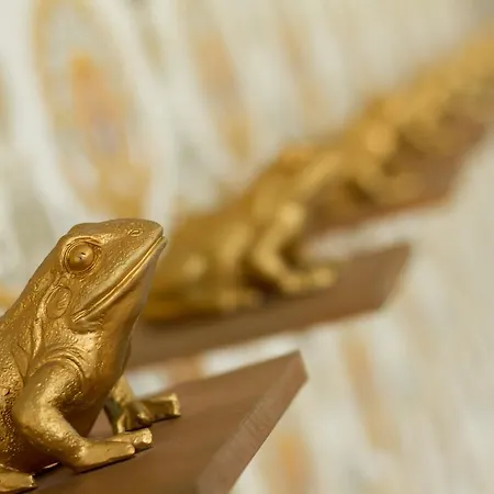 Garca Real & - Singular's 호텔 4*