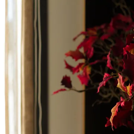 Garca Real & - Singular's Hotel Montemor-o-Velho