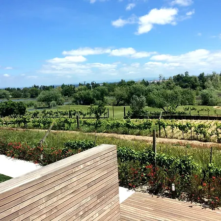 Garca Real & - Singular's