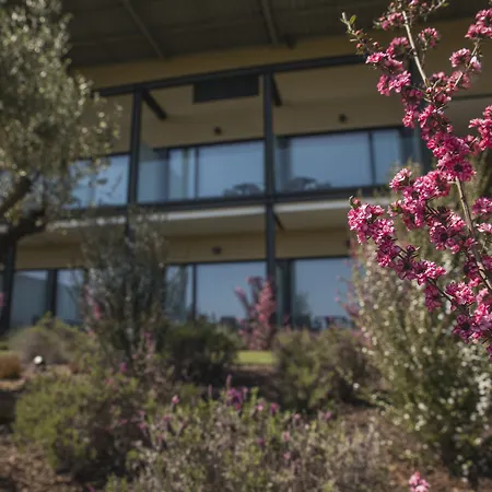 호텔 Garca Real & - Singular's 몬테모르-우-벨류