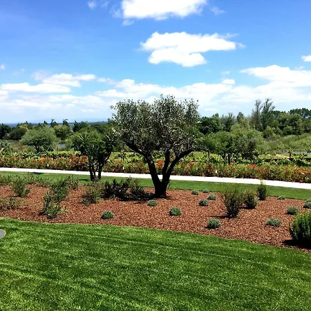 Garca Real & - Singular's 4* 몬테모르-우-벨류