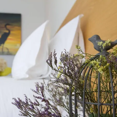 Garca Real & - Singular's 4*