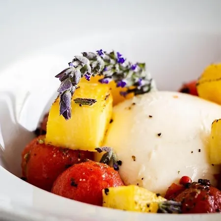 Garca Real & - Singular's 호텔