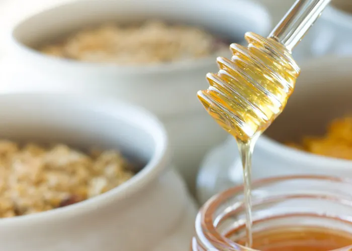 Hotel Garca Real & - Singular's