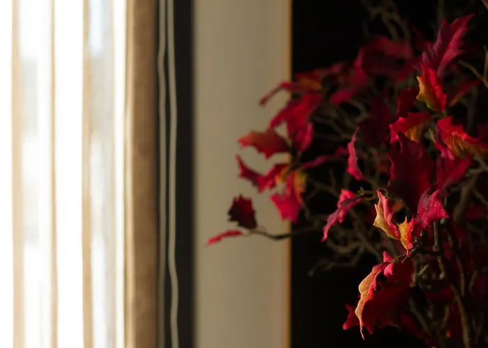 Garca Real & - Singular's Hotel Montemor-o-Velho