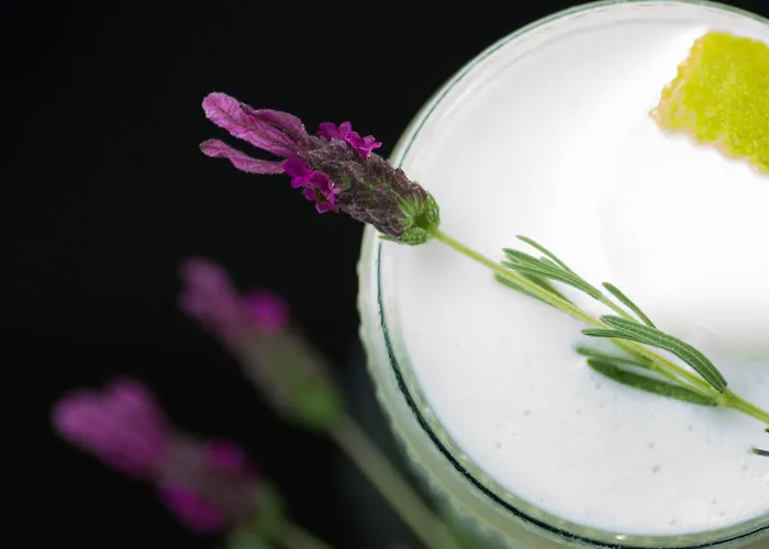 Garca Real & - Singular's 4* Montemor-o-Velho