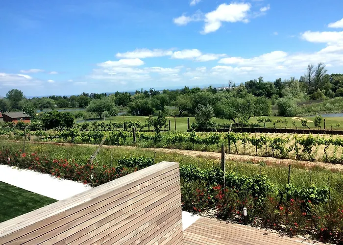 Garca Real & - Singular's