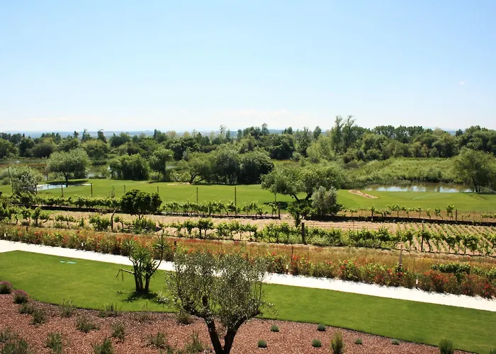 Garca Real & - Singular's