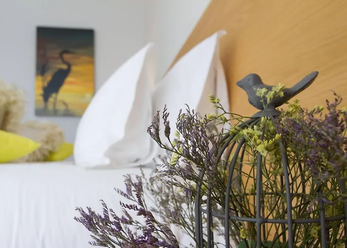 Garca Real & - Singular's 4*